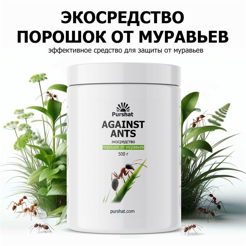 0cf19112-39df-11ef-849d-00d8617040a4_8