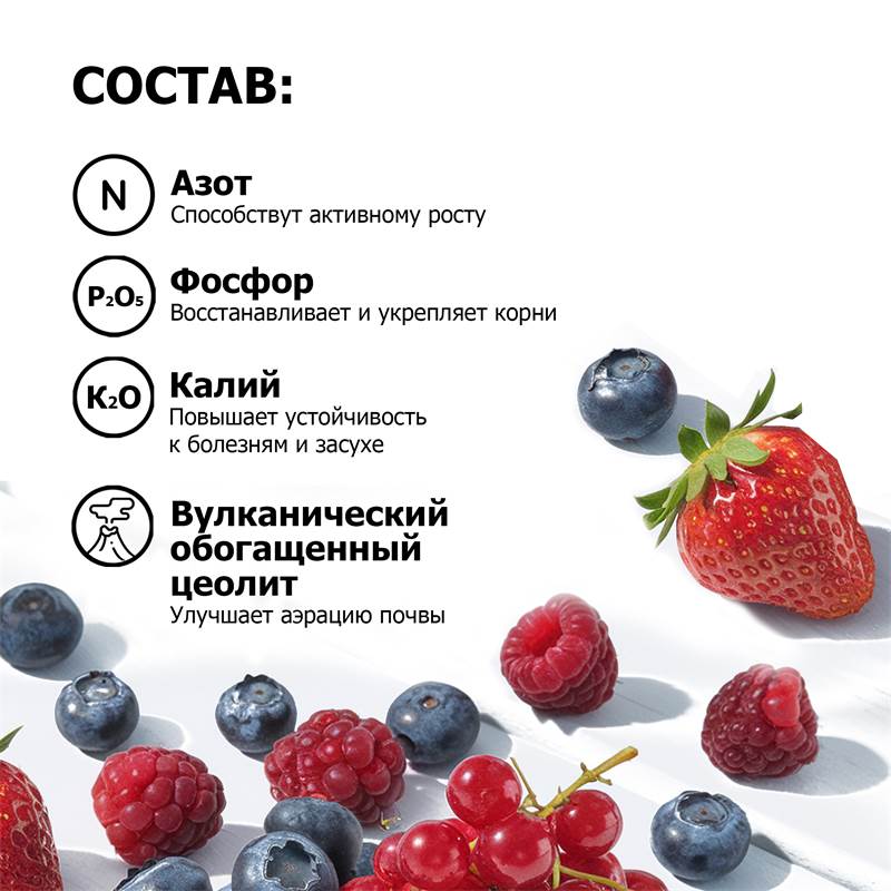 f6aafb5e-ea04-11ef-84ab-00d8617040a4_5