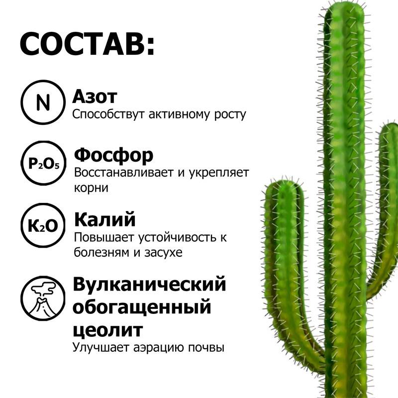5d2e2bdd-fc86-11ee-849d-00d8617040a4_5