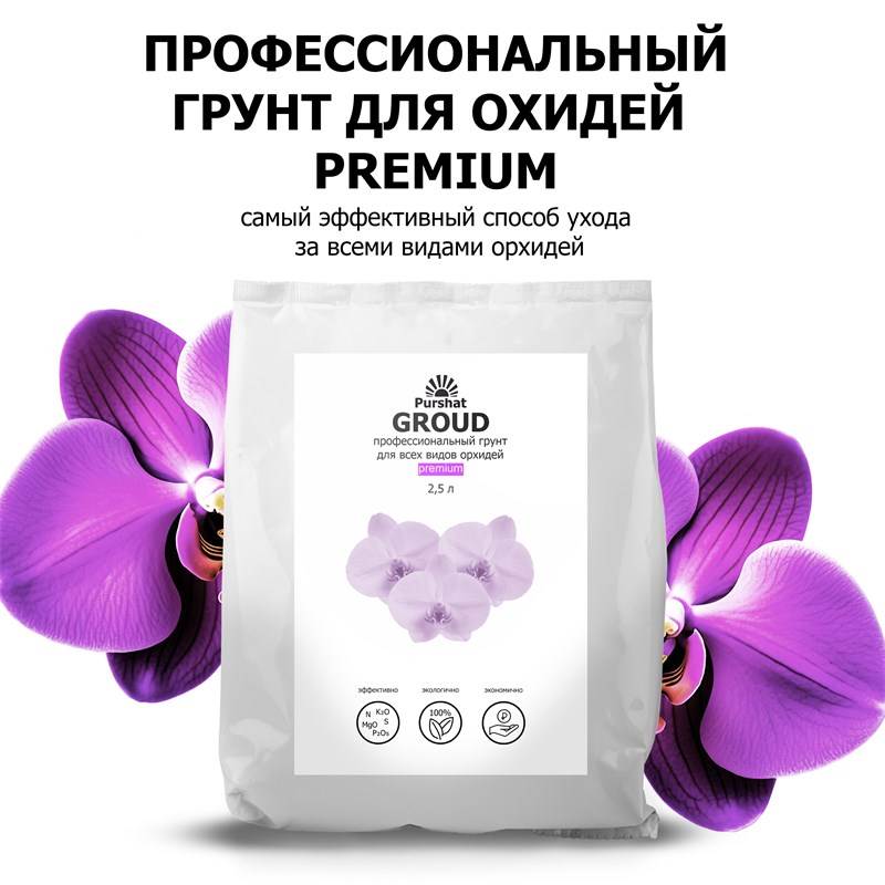 edfe8dfe-67ee-11ee-848b-00d8617040a4_1