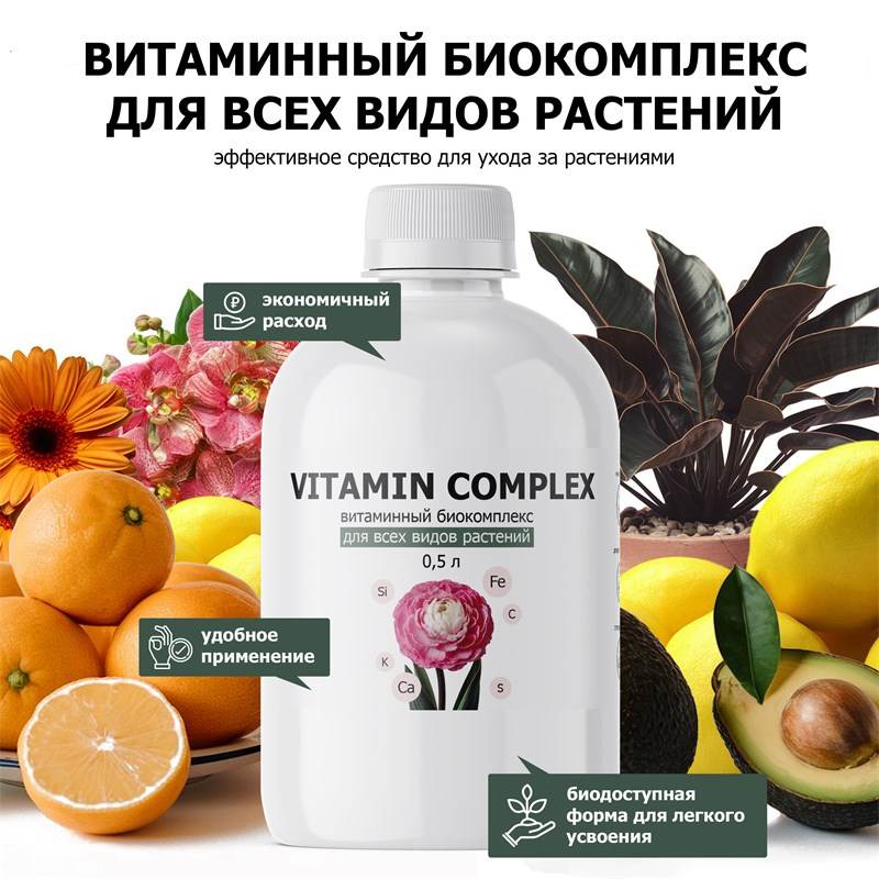 15cf2a1c-aaf0-11ef-84a3-00d8617040a4_3