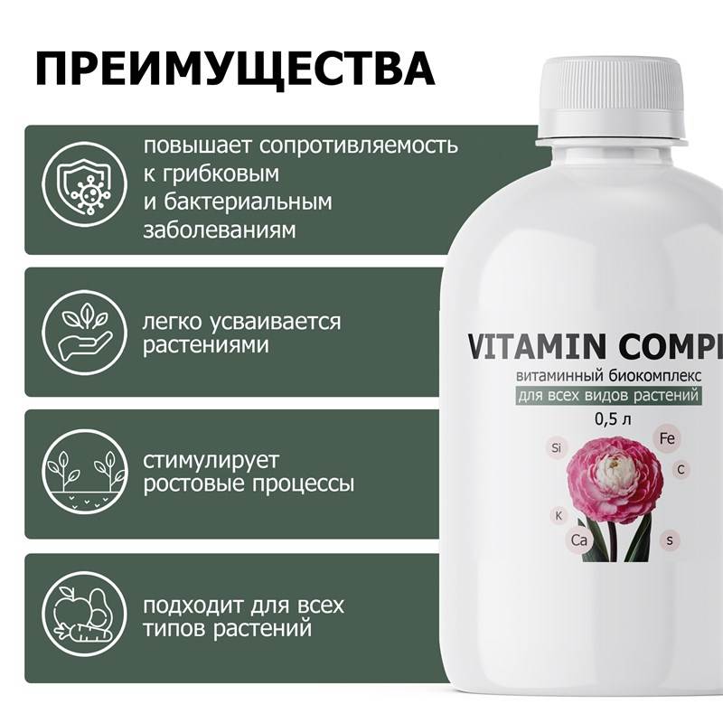 15cf2a1c-aaf0-11ef-84a3-00d8617040a4_4