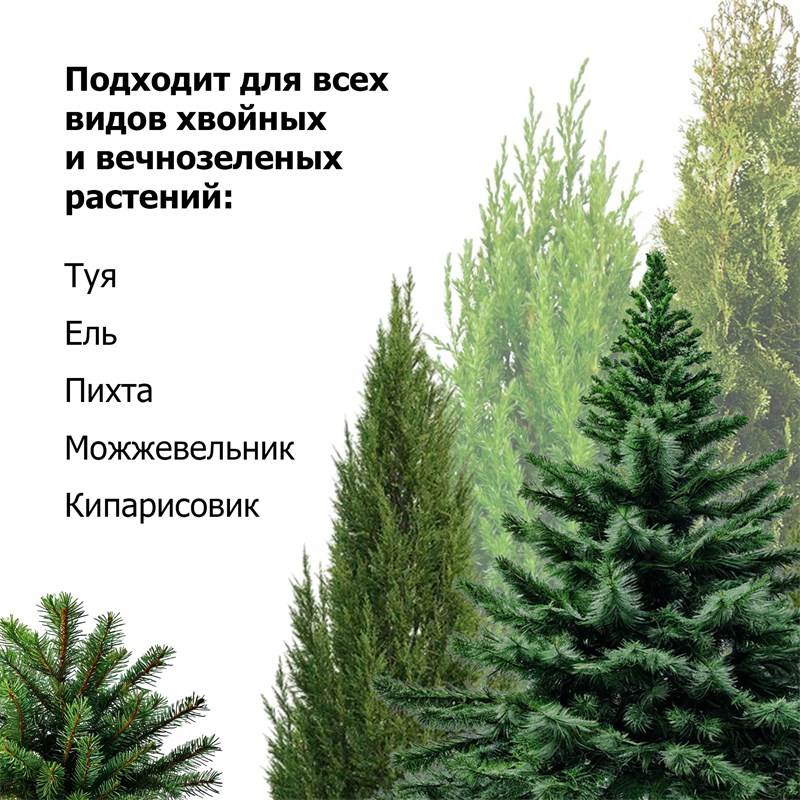 3549150a-b7a5-11ef-84a5-00d8617040a4_8