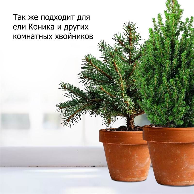 3549150a-b7a5-11ef-84a5-00d8617040a4_9