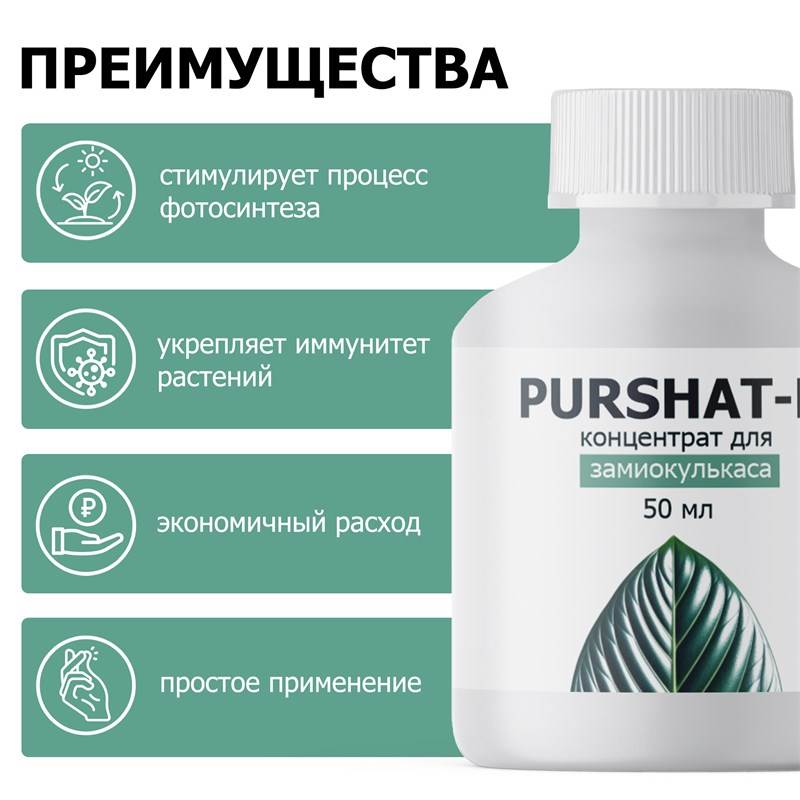036ec492-2801-11ef-849d-00d8617040a4_3