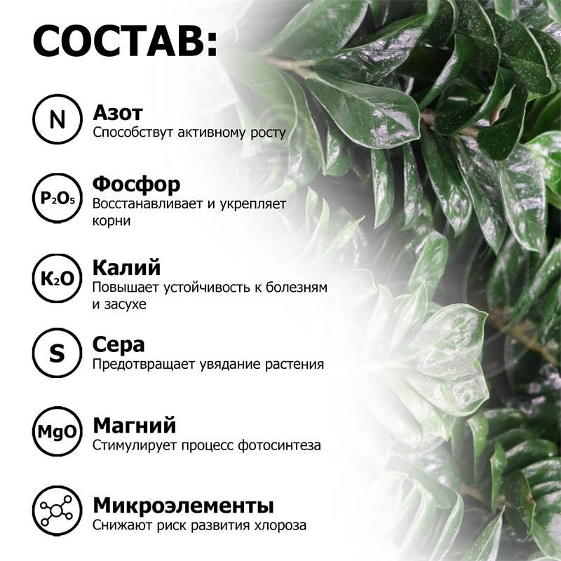 036ec492-2801-11ef-849d-00d8617040a4_5