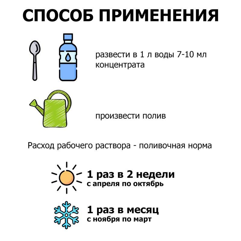 036ec492-2801-11ef-849d-00d8617040a4_6