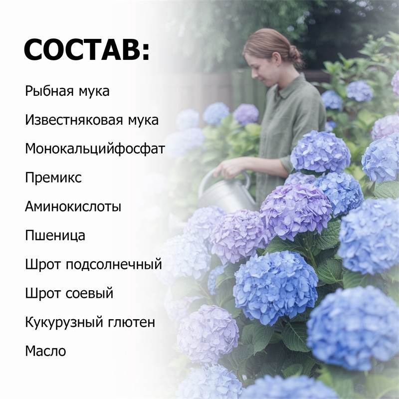 201fc0a9-f82f-11ef-84ab-00d8617040a4_5