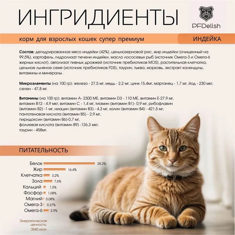 6954567374 (convert.io)