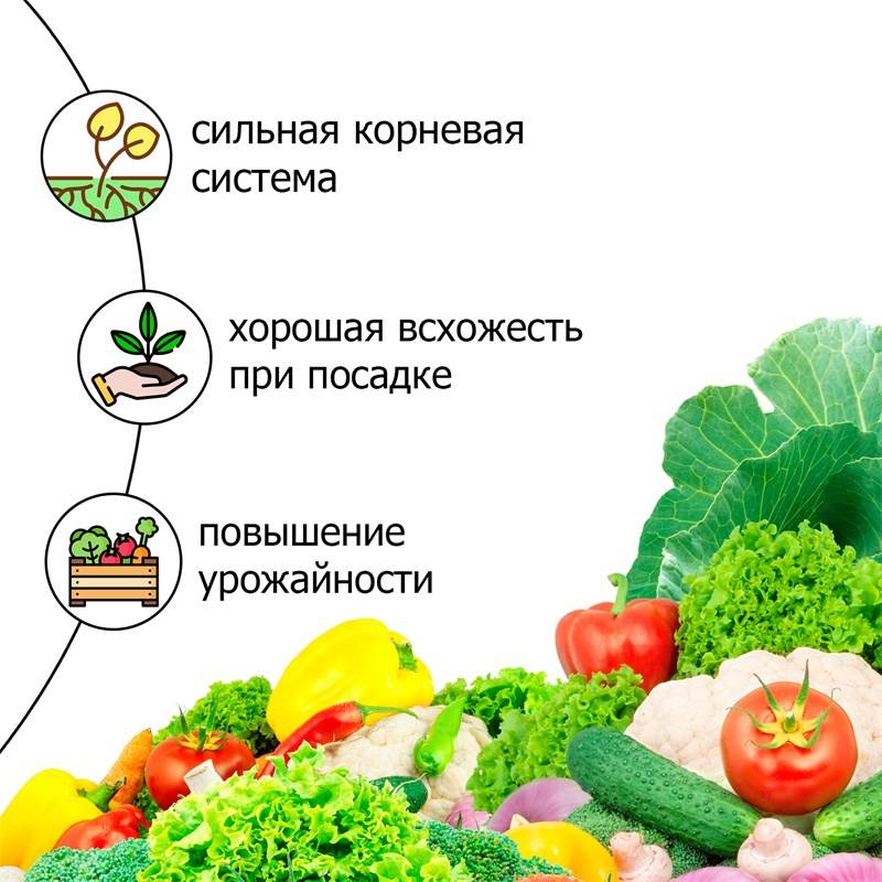 77e6e339-7d29-11ee-848c-00d8617040a4_3