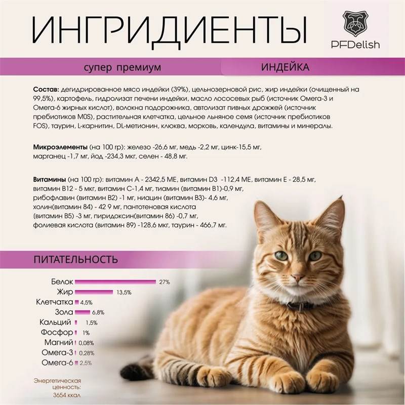 6954567372 (convert.io)