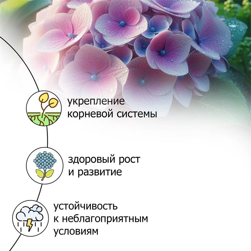 2b0ae18f-1cd8-11ea-b8bd-00d8617040a4_5