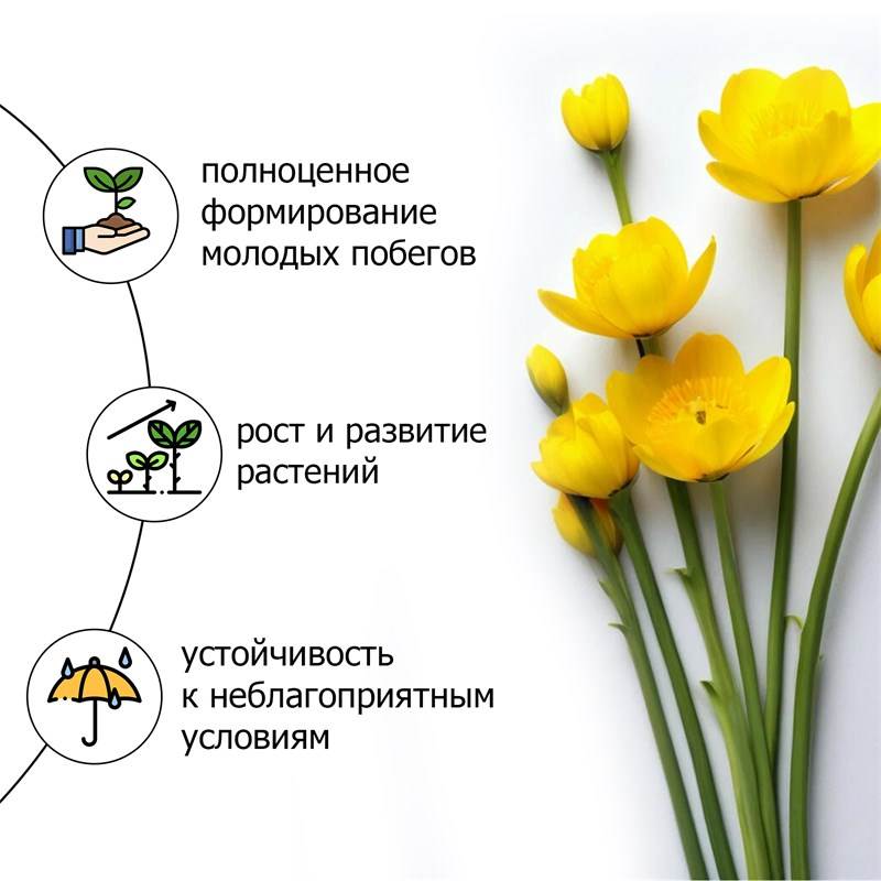 1cf2ff07-a111-11eb-b911-00d8617040a4_3