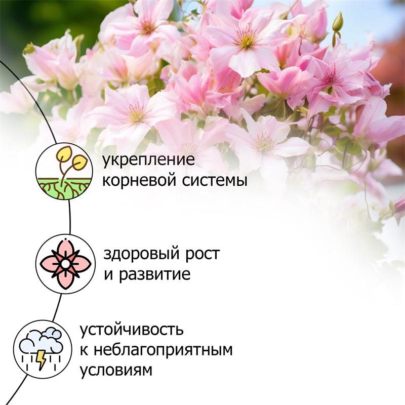 f74a2b0f-67f1-11ee-848b-00d8617040a4_3