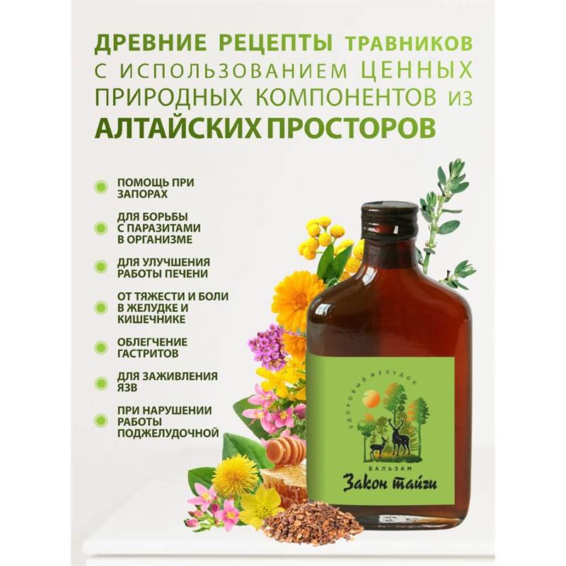 закон тайги 4