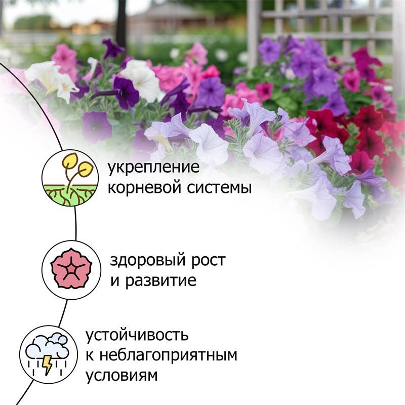 5be1f0ec-4596-11ee-8488-00d8617040a4_3
