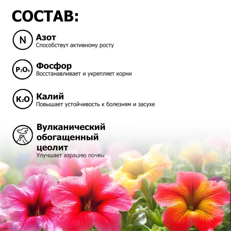 5be1f0ec-4596-11ee-8488-00d8617040a4_4