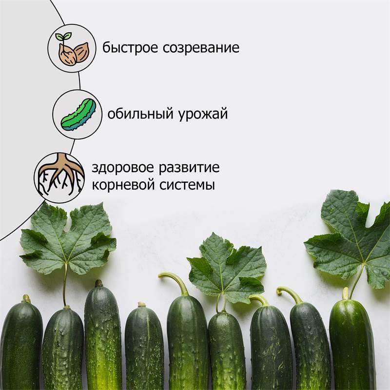 4cbdb219-edff-11ef-84ab-00d8617040a4_4
