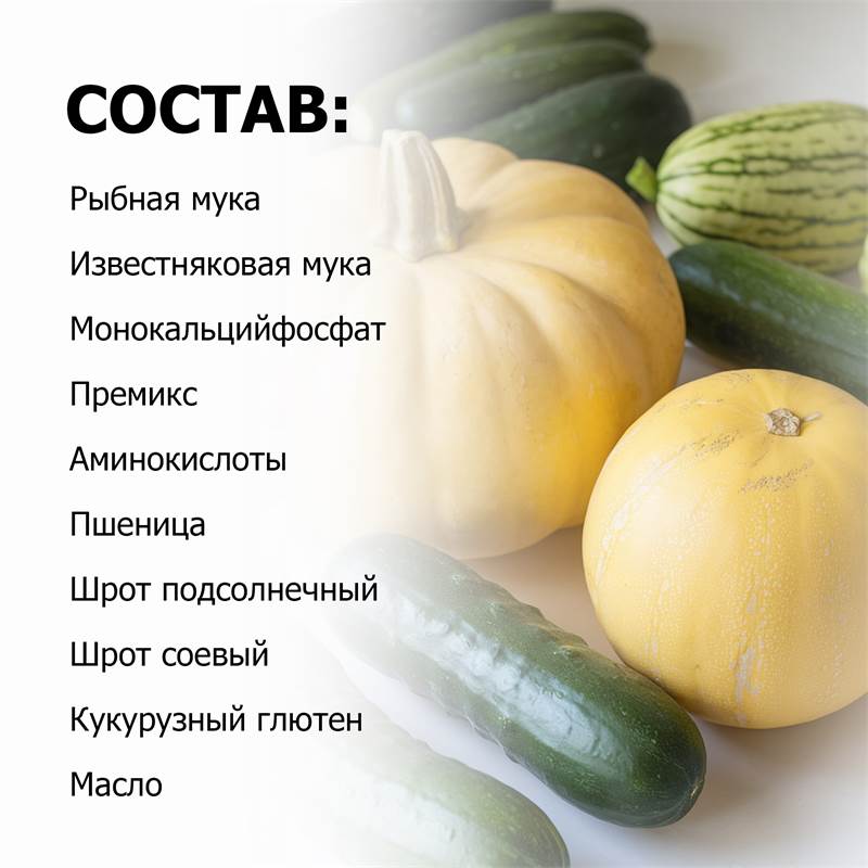 4cbdb219-edff-11ef-84ab-00d8617040a4_5