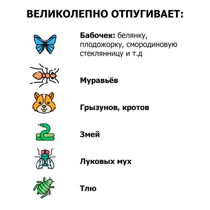 7f4b36fa-f670-11ea-b900-00d8617040a4_6