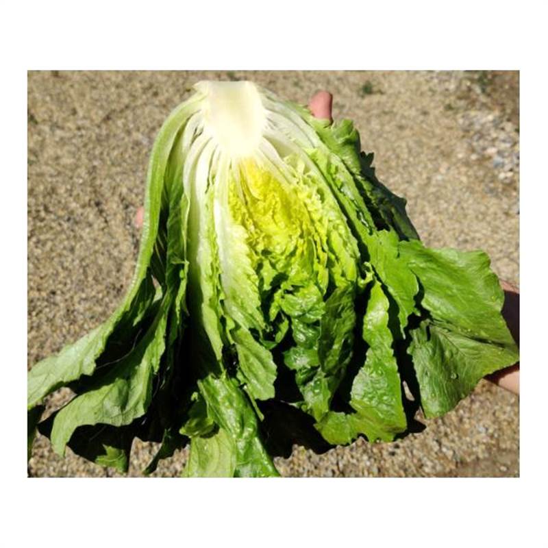 Снимок экрана 2025-04-18 091331