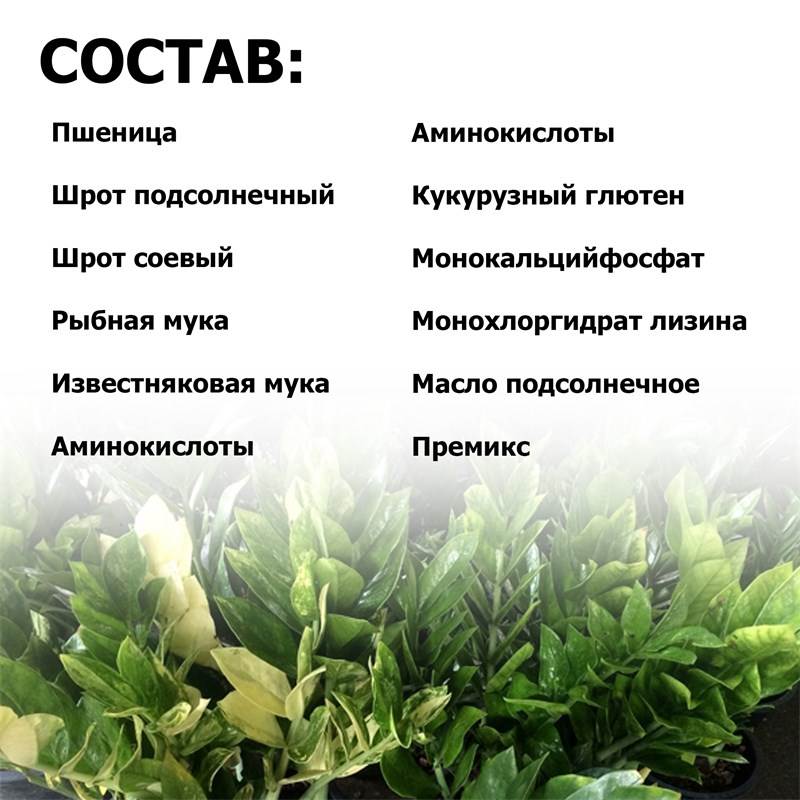 03cf191a-6ea8-11ef-84a0-00d8617040a4_5