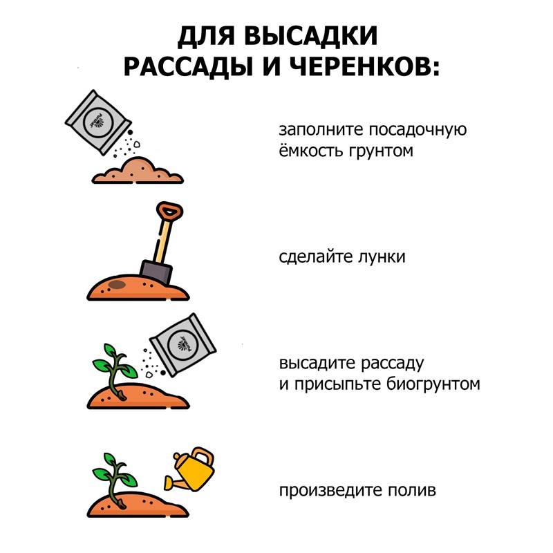 f60fe594-db8e-11ee-8497-00d8617040a4_4