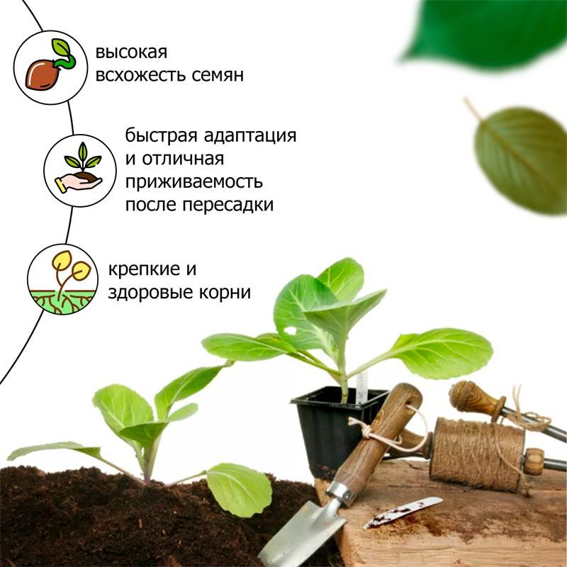 f60fe594-db8e-11ee-8497-00d8617040a4_6