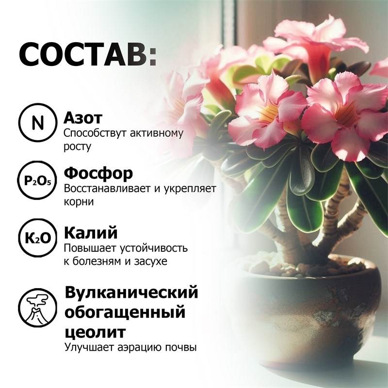 ba0ee110-6ab3-11ef-849f-00d8617040a4_5