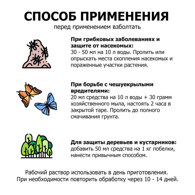 e2992d61-009d-11ef-849d-00d8617040a4_4