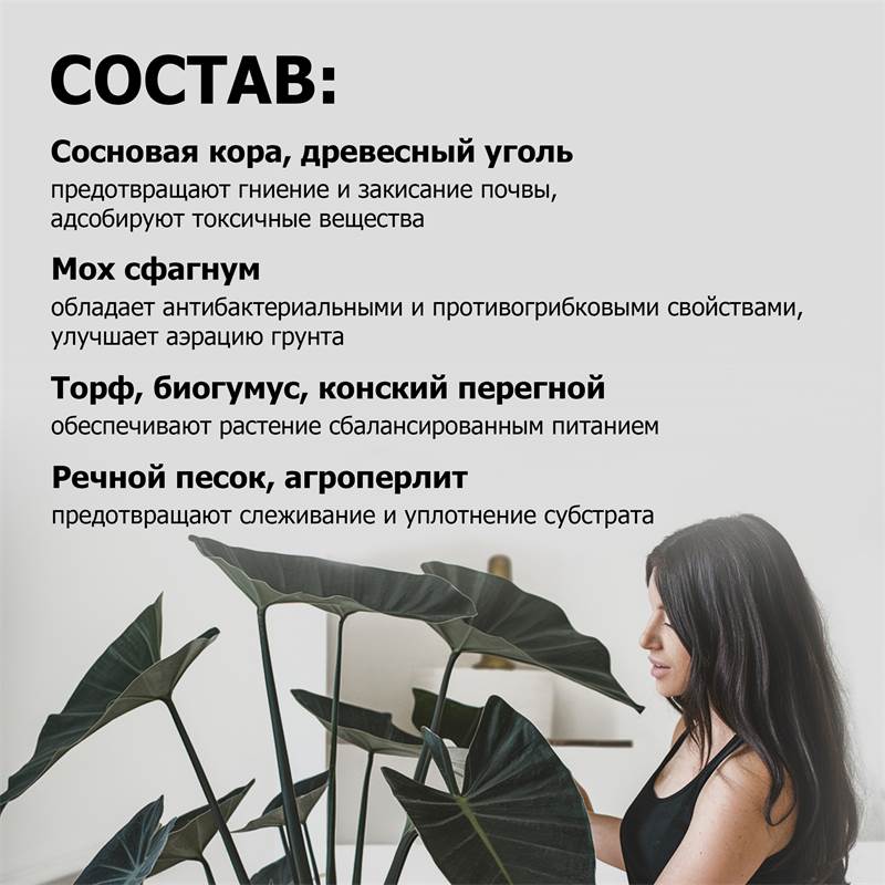 aca65a6a-0334-11f0-84b5-00d8617040a4_5