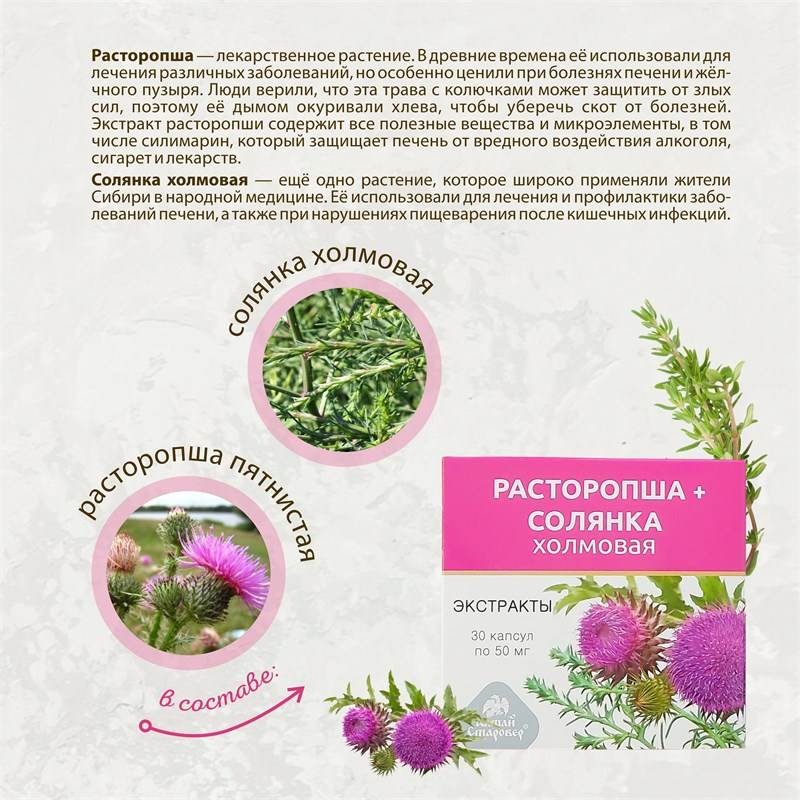 расторопша 2
