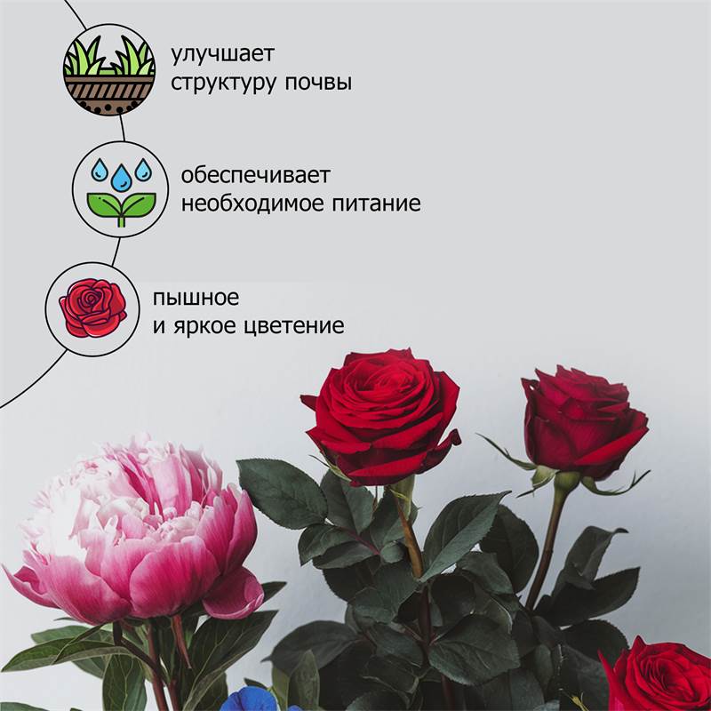 a6c57383-f82e-11ef-84ab-00d8617040a4_4