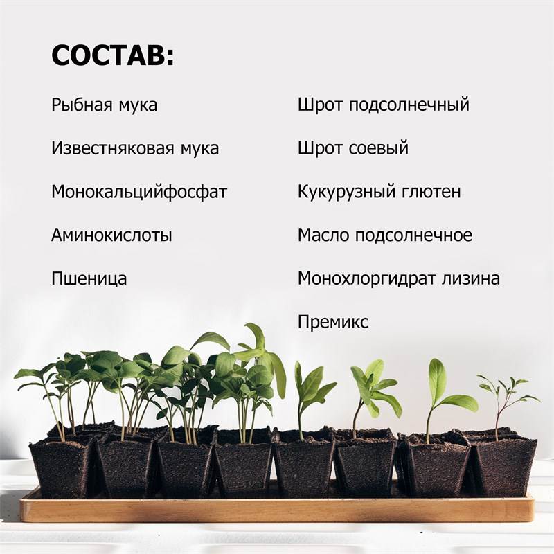 a8bc1f23-cf28-11ef-84a8-00d8617040a4_5