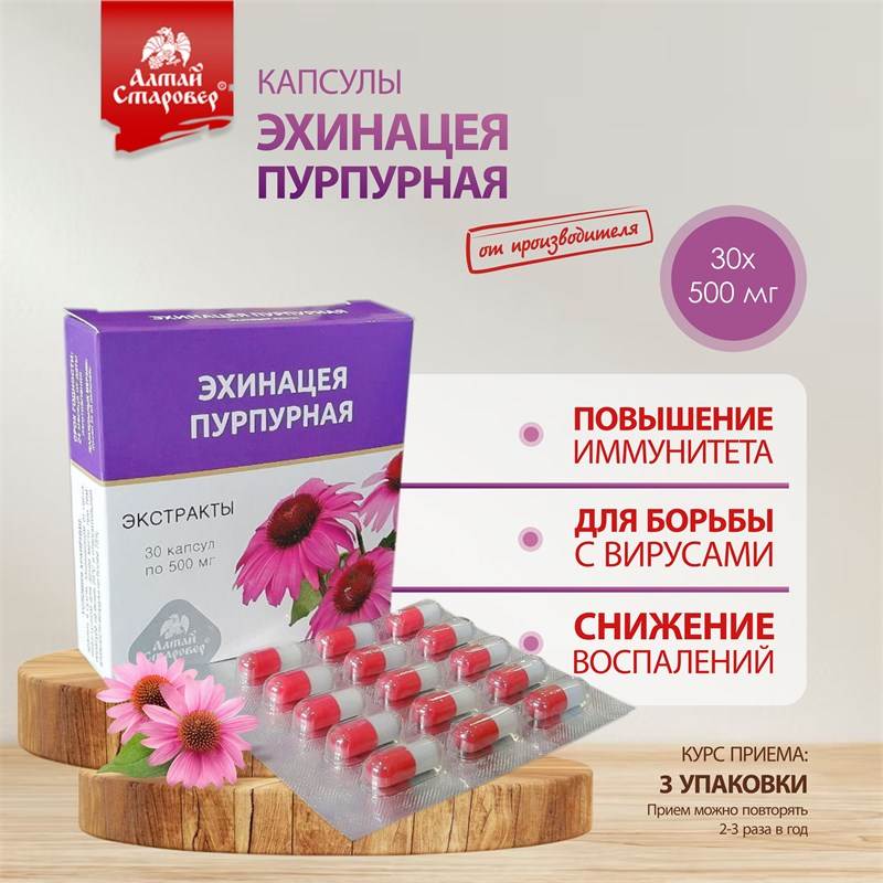 Эхинацея 1-1