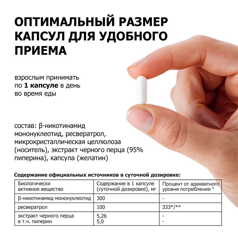 fdf10328-be0a-11f0-84b8-00d8617040a4-purshatbadlesnoy_12