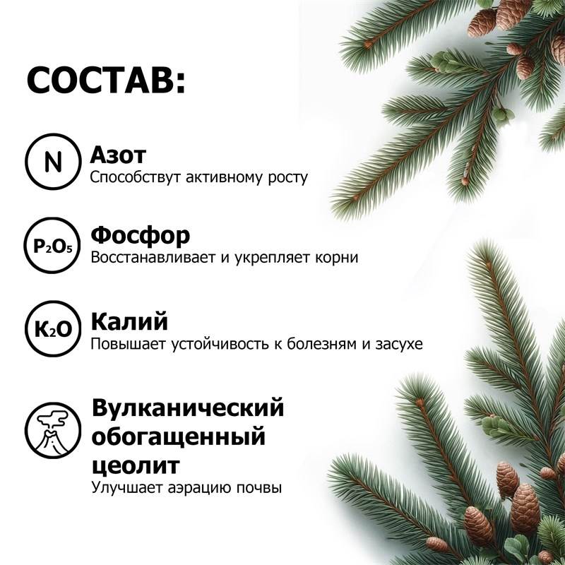 81c8e264-513a-11ee-8488-00d8617040a4_4