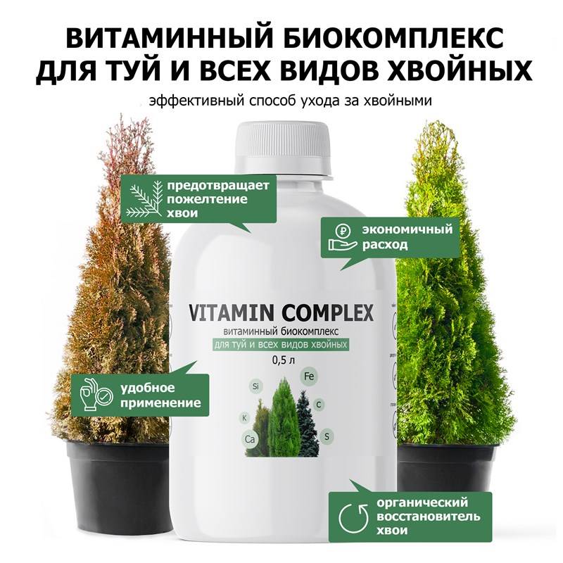 492bca0f-ad7d-11ef-84a3-00d8617040a4_3