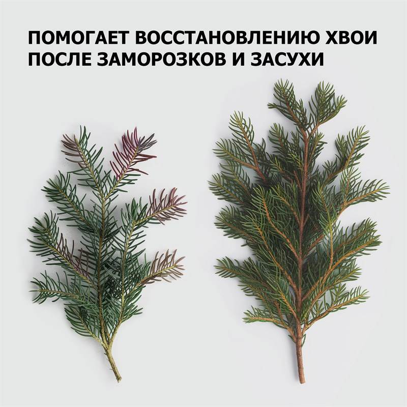 492bca0f-ad7d-11ef-84a3-00d8617040a4_4