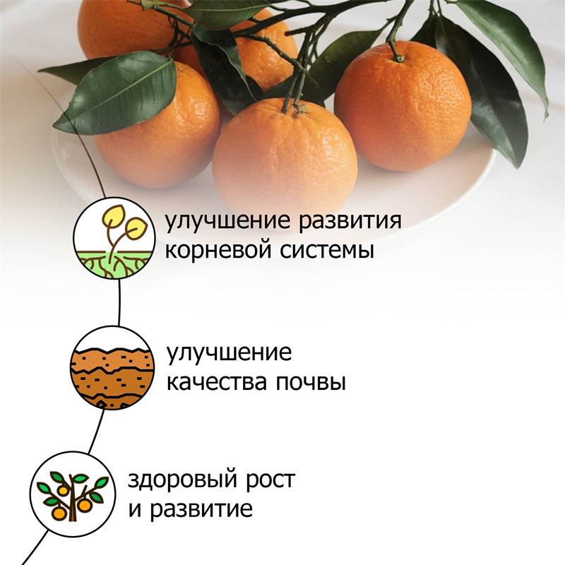 7514e23e-2636-11ea-b8c2-00d8617040a4_3