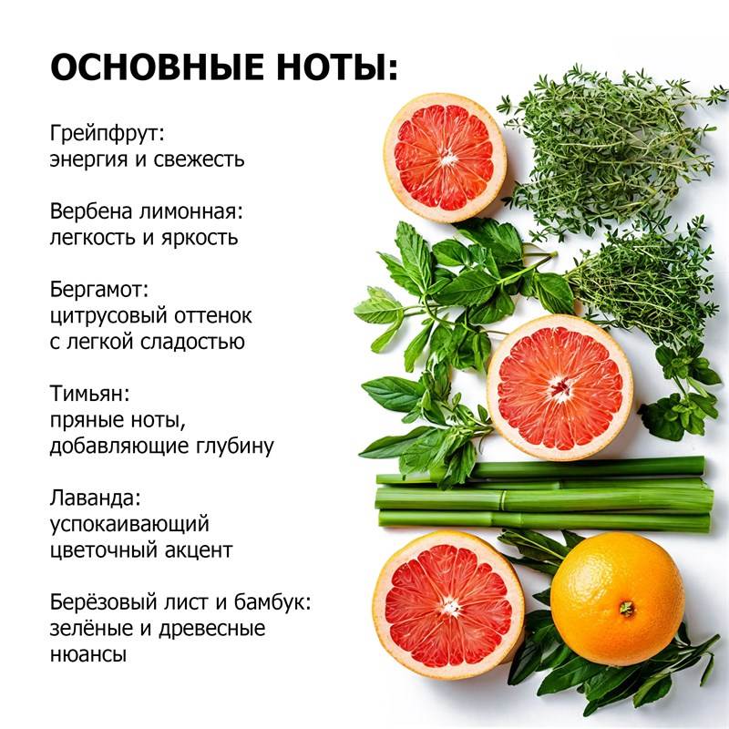 d000e767-bb78-11ef-84a5-00d8617040a4_6