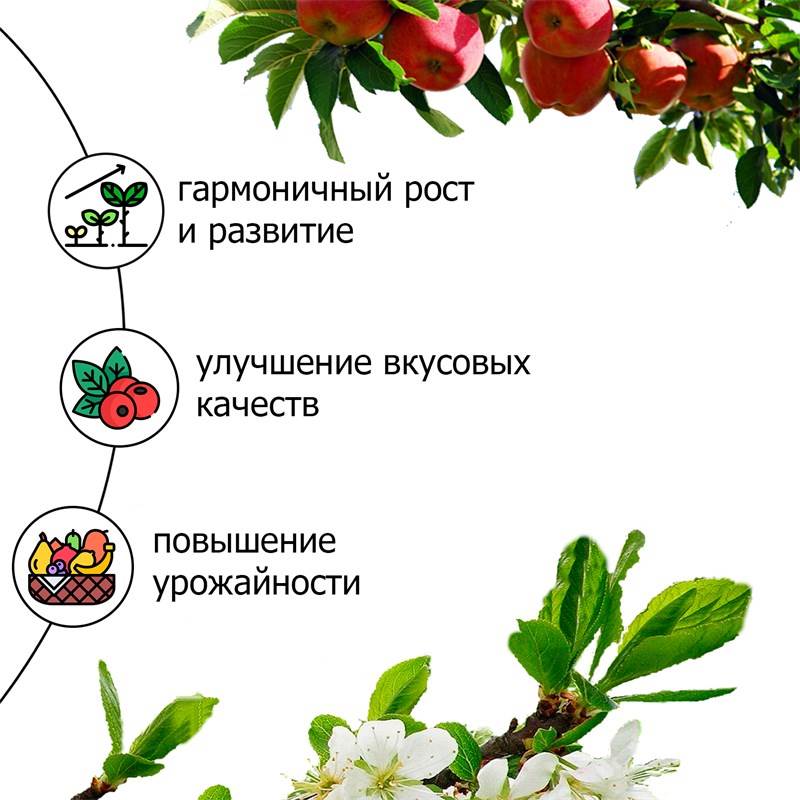 62c664af-62bd-11ee-8489-00d8617040a4_3