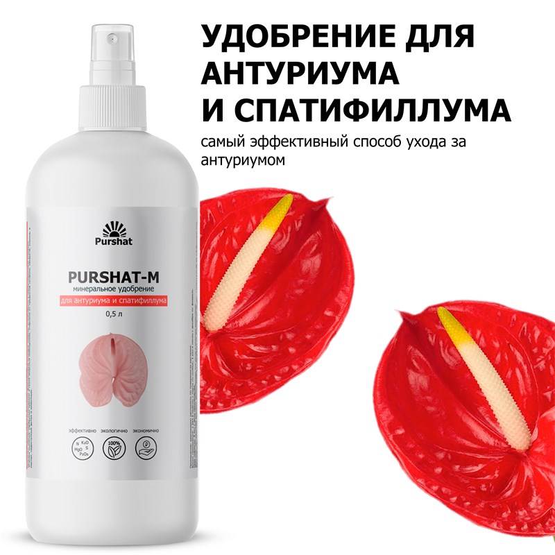 7e03db83-943d-11ea-b8ee-00d8617040a4_1