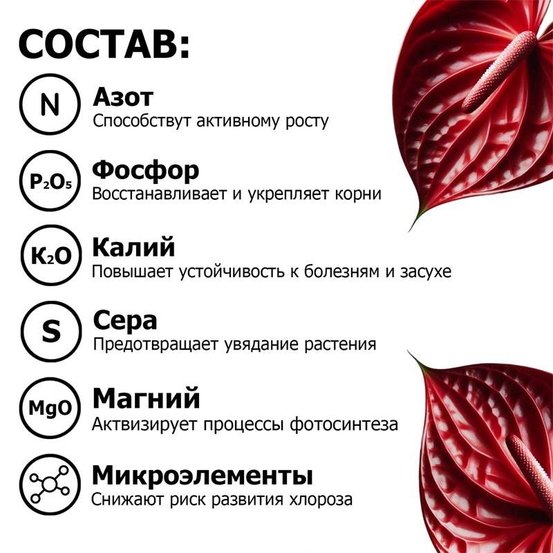 7e03db83-943d-11ea-b8ee-00d8617040a4_4