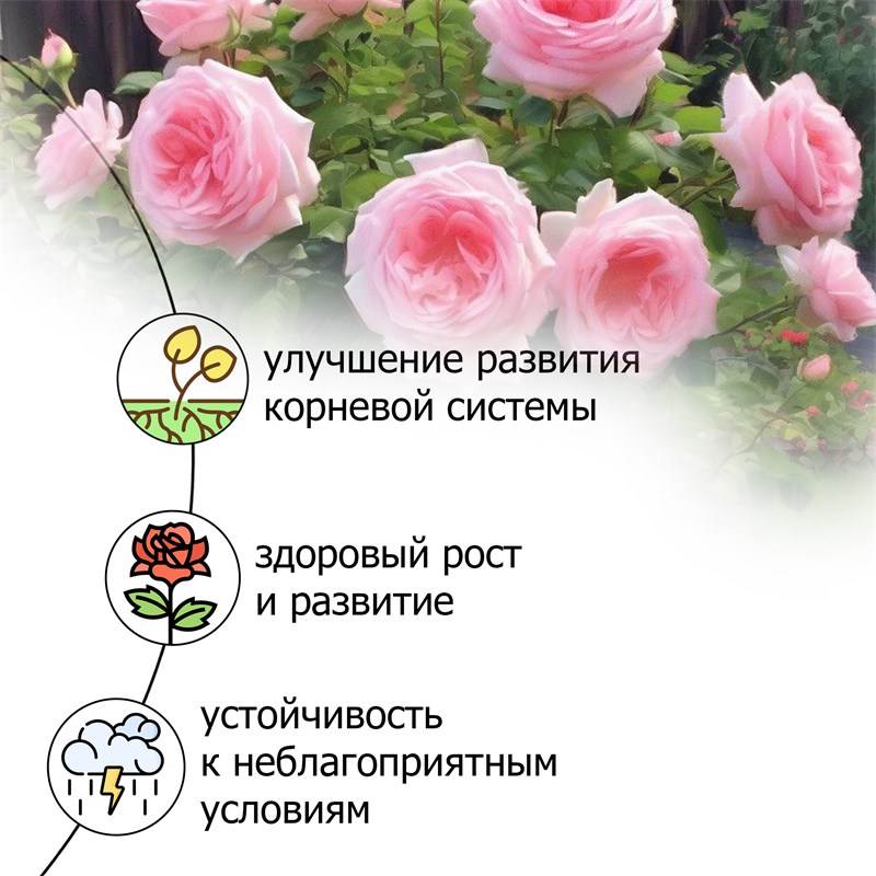 939a2775-2615-11ea-b8c2-00d8617040a4_3