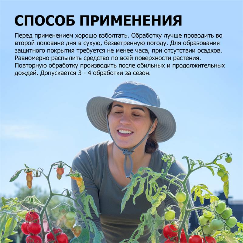 c91781f3-2fe5-11f0-84b5-00d8617040a4_6