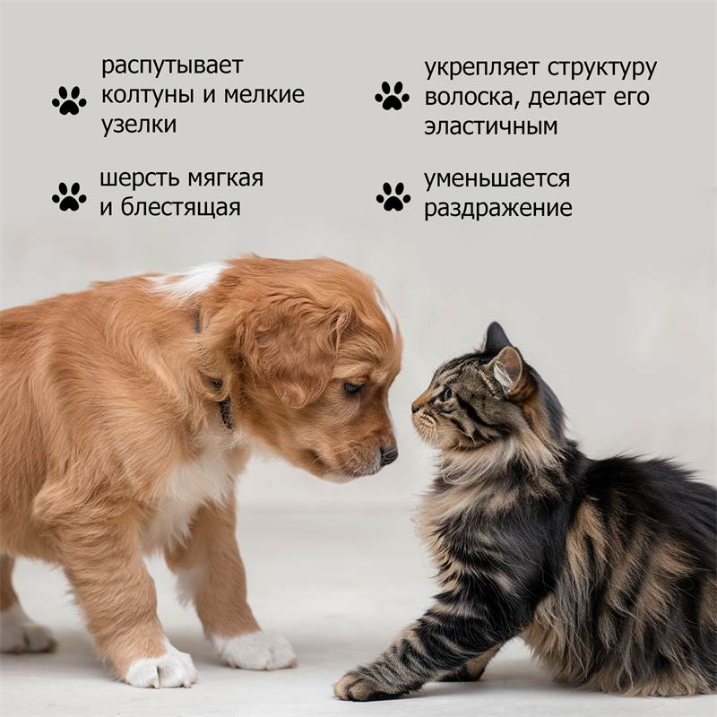 eed4c1d3-9c5a-11f0-84b8-00d8617040a4-purshatcosmyoshk_5