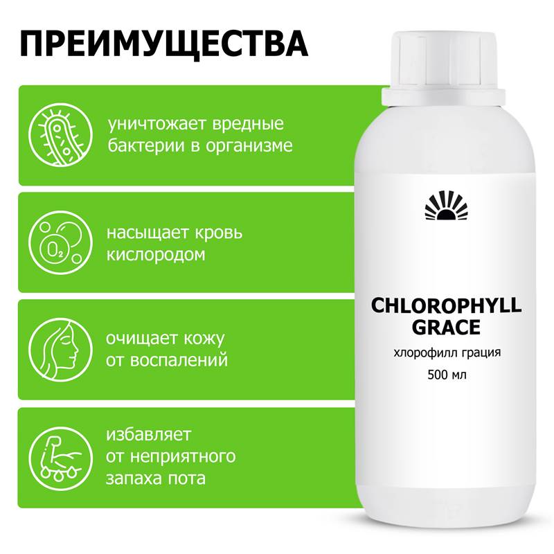 22f0f836-742a-11f0-84b8-00d8617040a4-purshatbadvordor_4