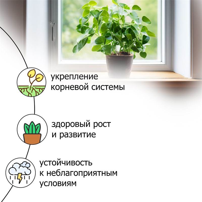 84769fd9-255e-11ea-b8c2-00d8617040a4_3