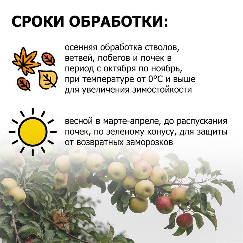 d1dbbc45-262a-11ea-b8c2-00d8617040a4_4